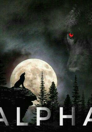 The Alfa
